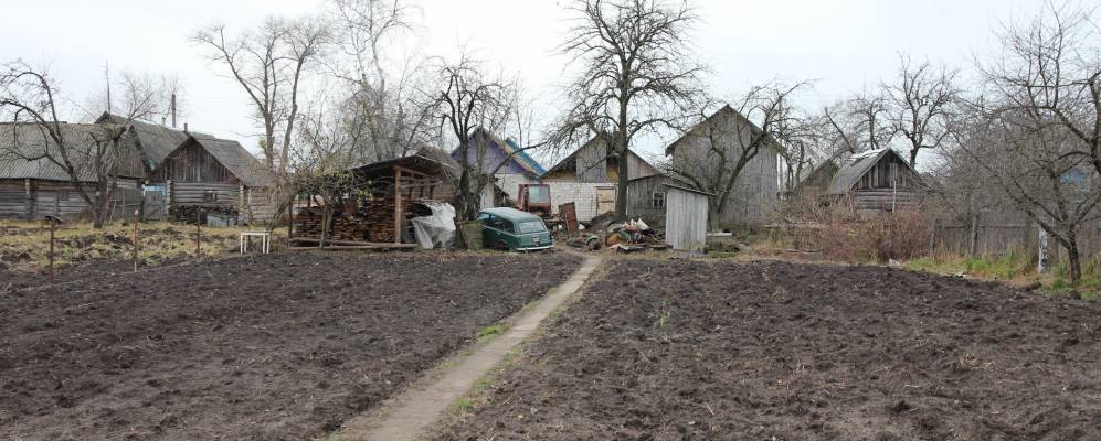 Фотография Саников