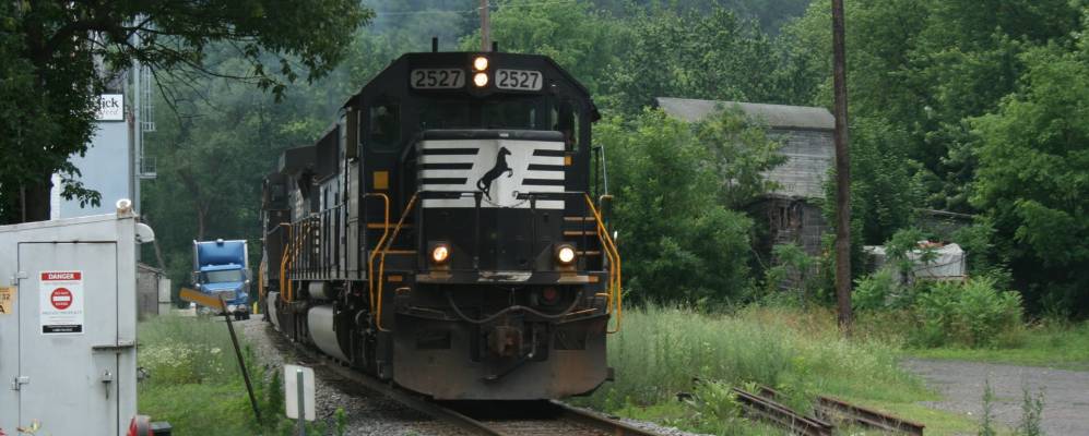 
            Фотография Катоиссы