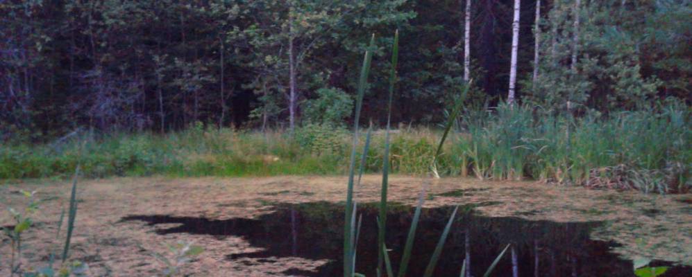 
            Фотография Петропавловки