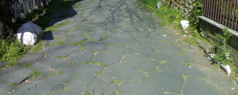 
            Фотография Палестрины