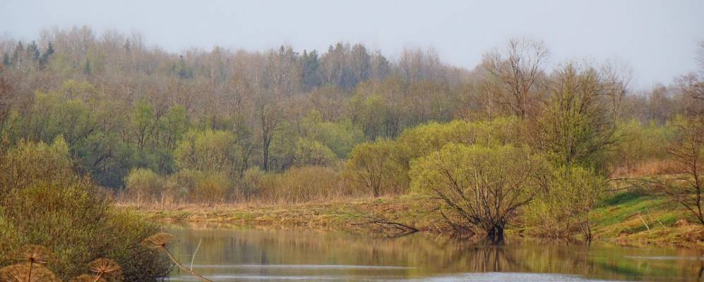 
            Фотография Прусынской Горки