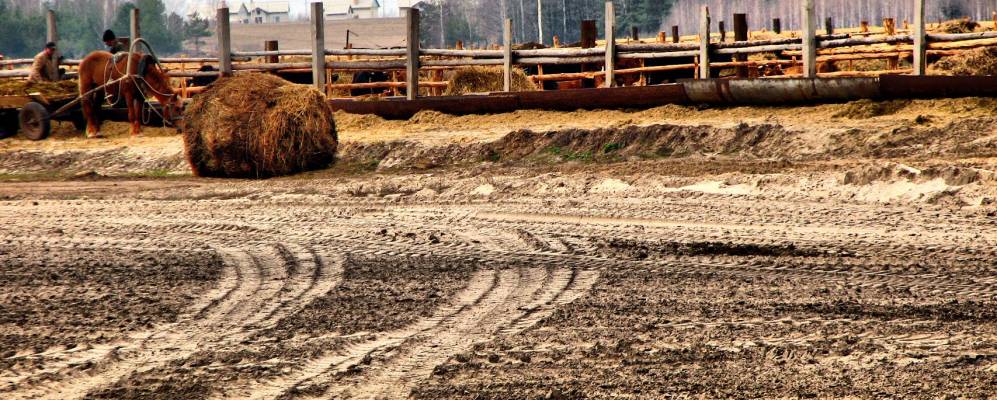 
            Фотография Алексеевки