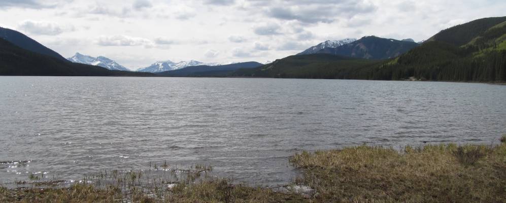 
            Фотография Rock Lake Lodge Provincial Park
