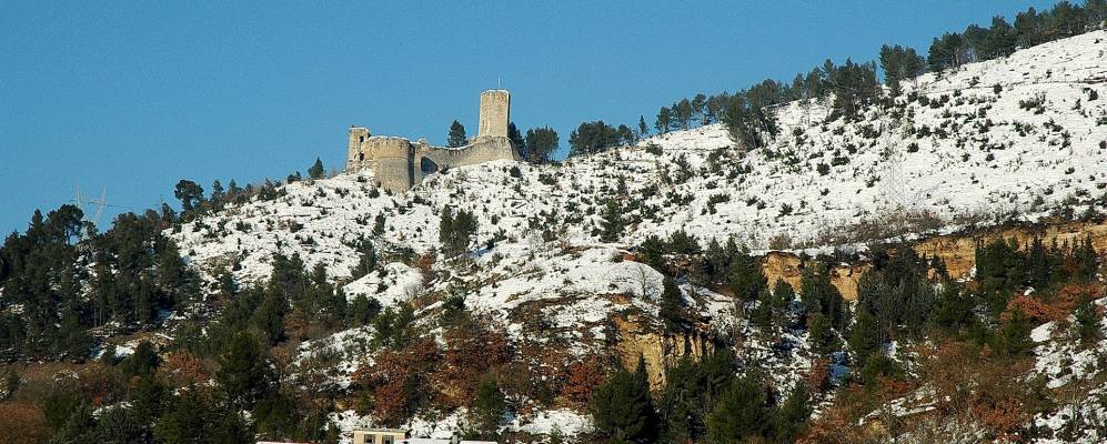 
            Фотография Пополи