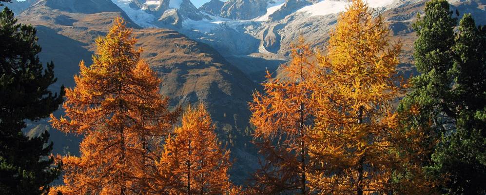 
            Фотография Церматта