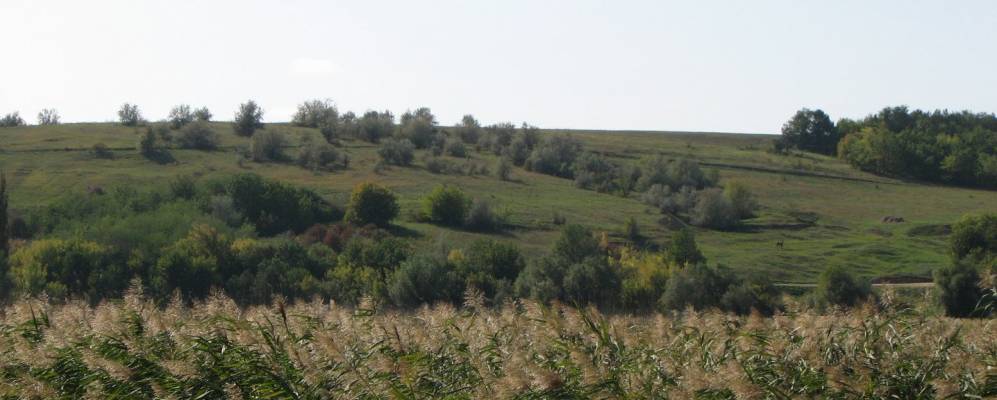 Фотография Липецкого