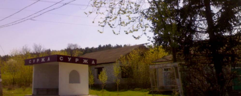 
            Фотография Суржи