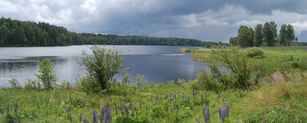 Фотография Никифоровского (Новословени)
