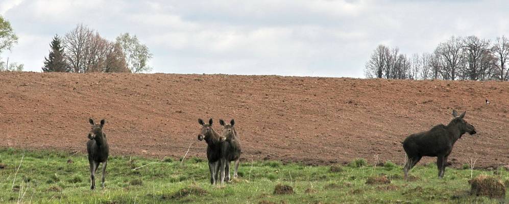
            Фотография деревни Тибеки