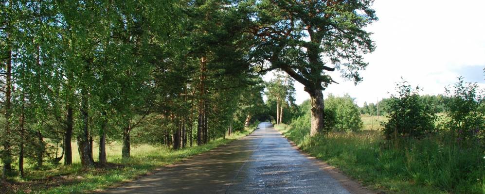 
            Фотография Новинков