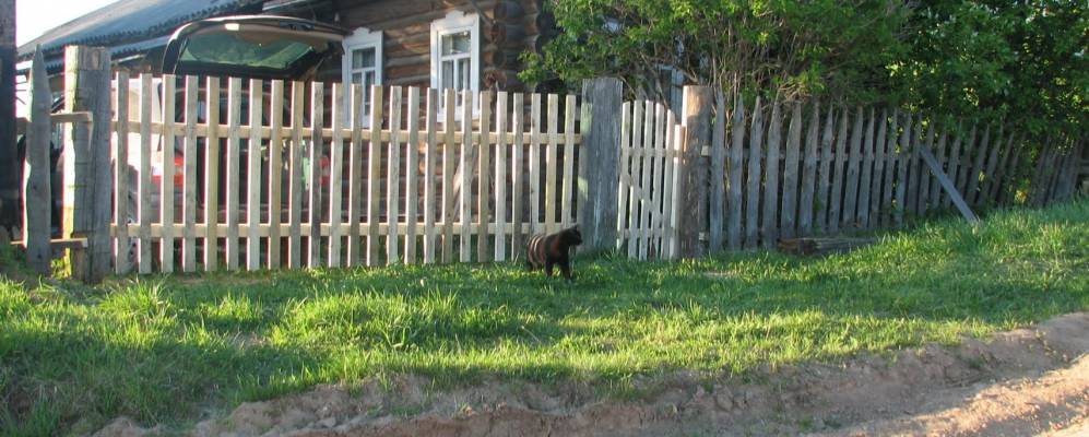 Фотография Никольской