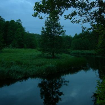 Селиваново