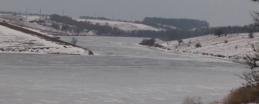 
            Фотография Солидарного