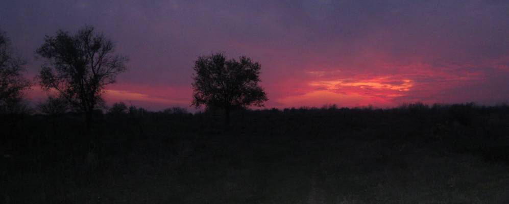 
            Фотография Сакарки