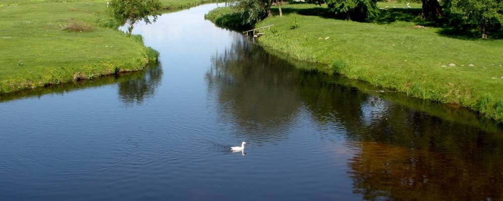 
            Фотография Рудни