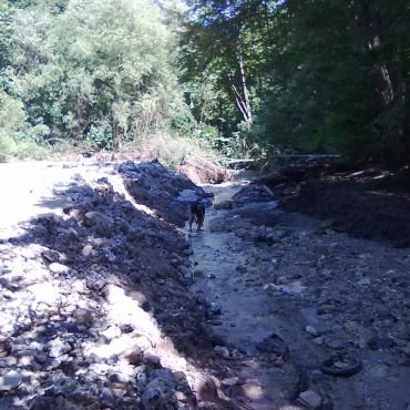 Проскуровка