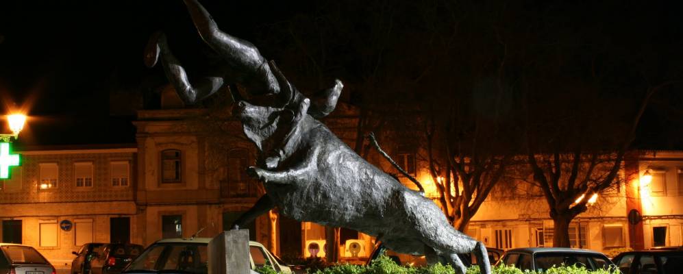 
            Фотография Алкошети