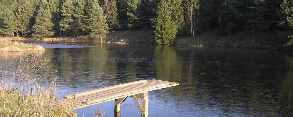 
            Фотография Репниково