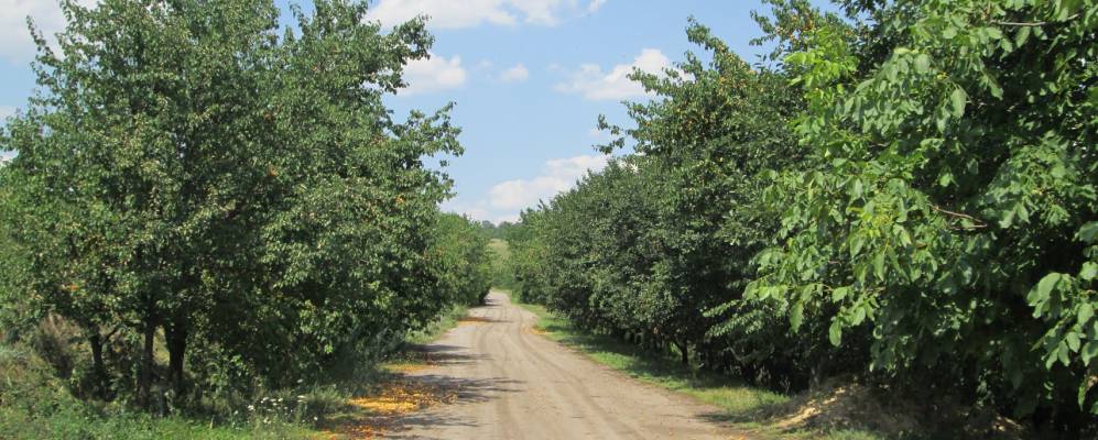 
            Фотография Широкой Балки