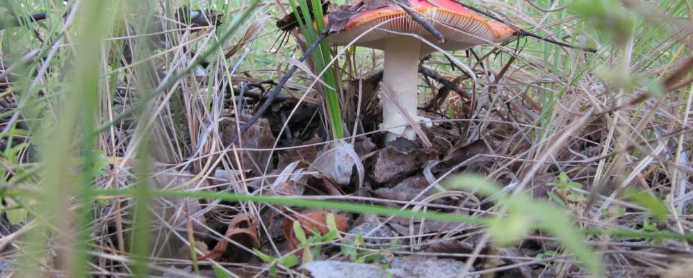 
            Фотография Халдеевки