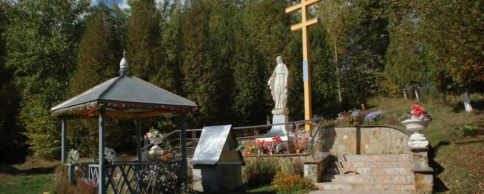 
            Фотография Дубовицы