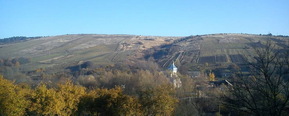 
            Фотография Княжполя