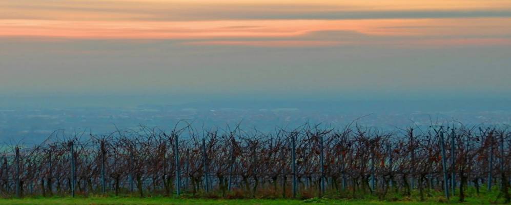 
            Фотография Malsch