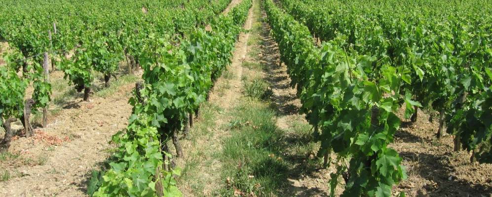 Фотография Мартийака