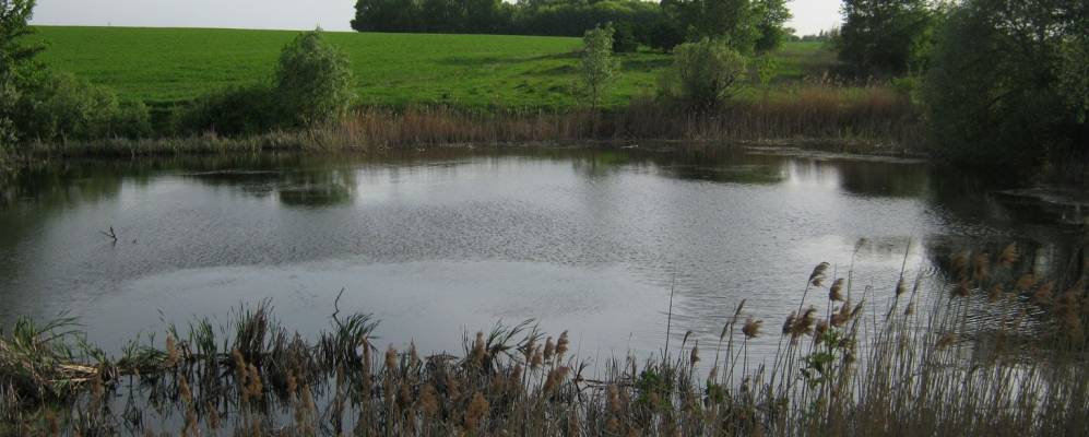 
            Фотография Архиповки