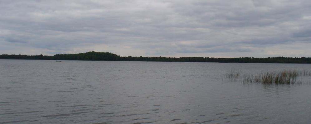 
            Фотография Белого