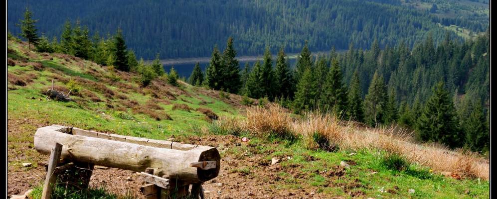 
            Фотография Фантанеле