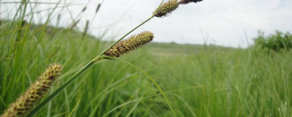 
            Фотография Молодежного