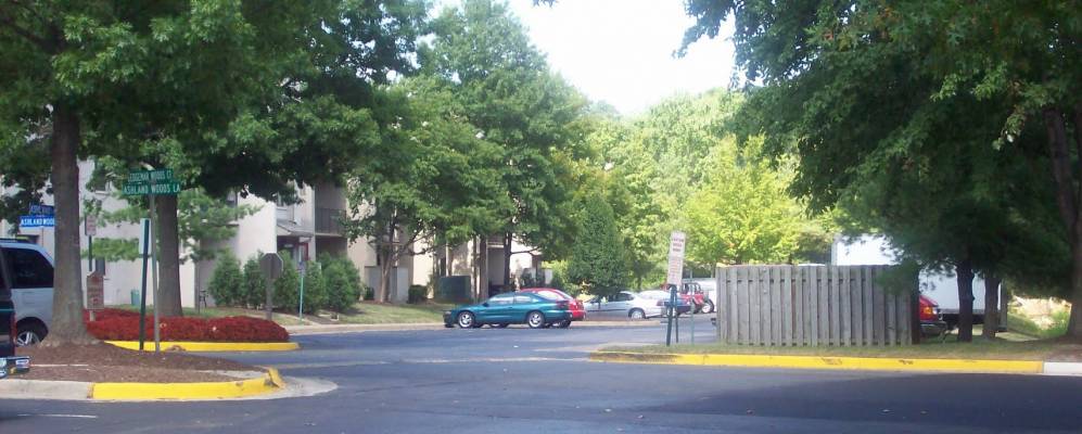 
            Фотография Лортона