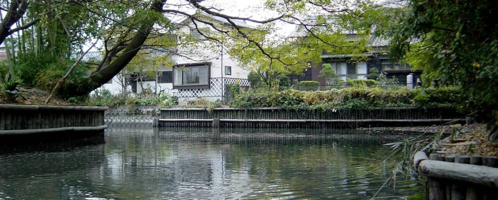 
            Фотография Янагавы