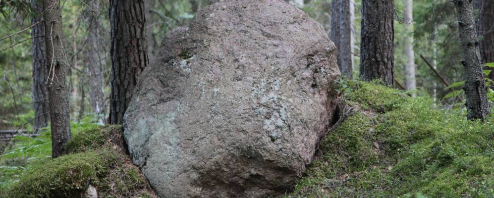 
            Фотография деревни Полеи