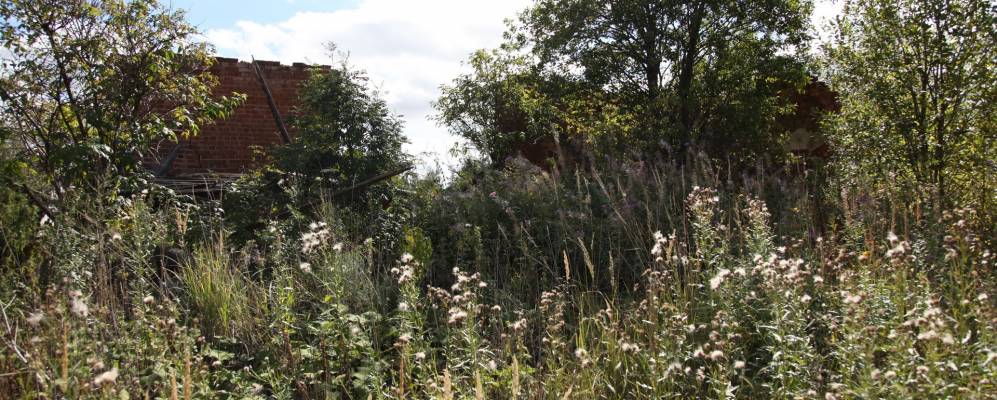 
            Фотография Зимнячки