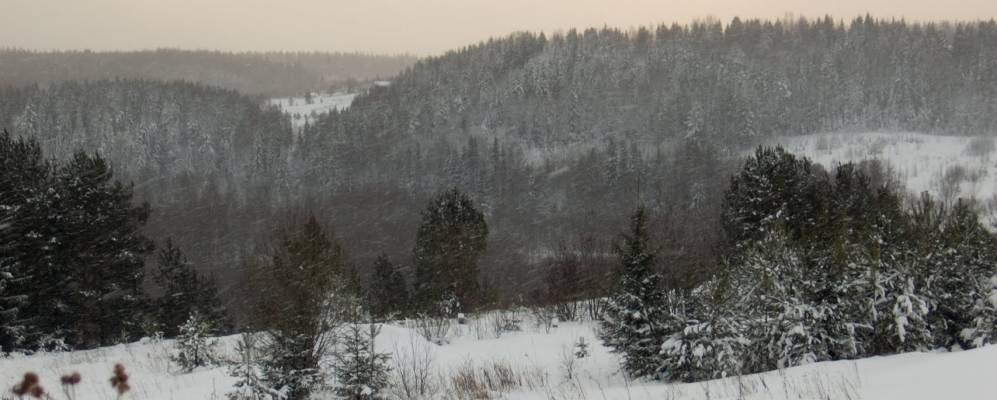 
            Фотография Андреева Починка