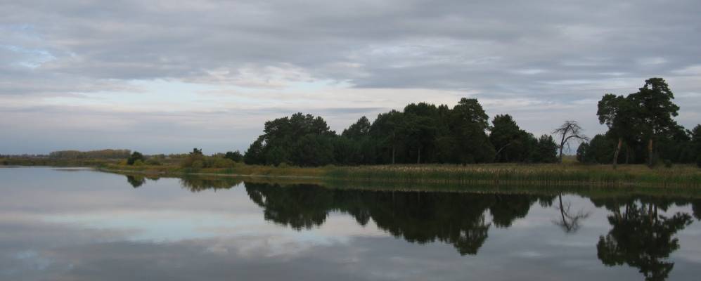 
            Фотография Дубровной