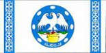 Флаг города Аксу