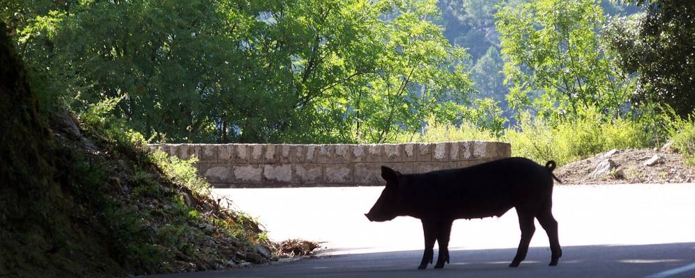 
            Фотография Вантизери
