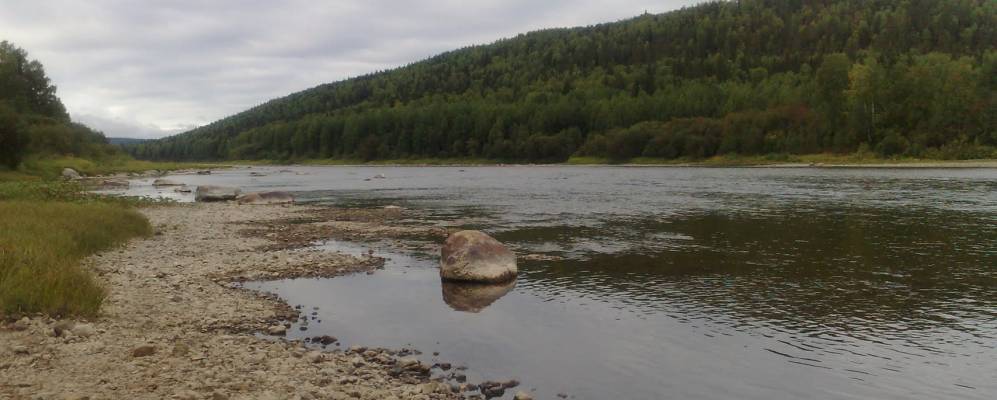 
            Фотография Половинки