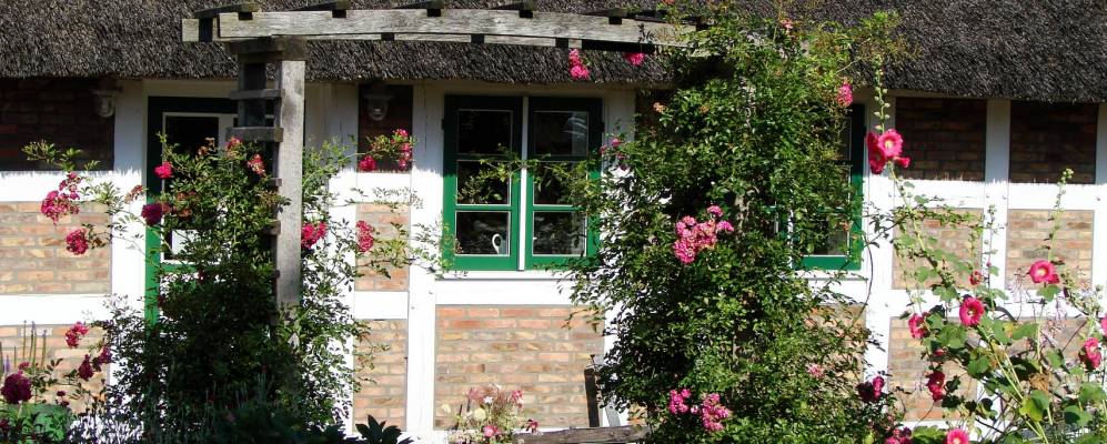 
            Фотография Бекдорфа