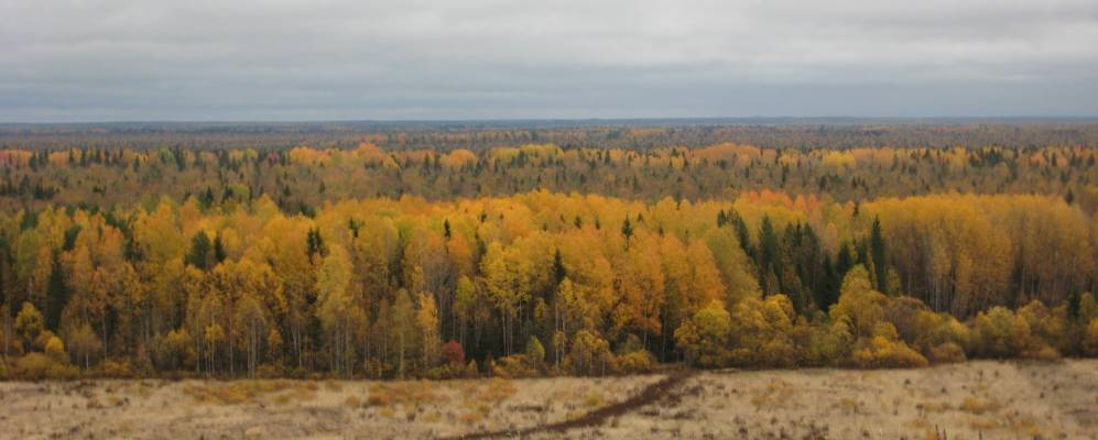 
            Фотография Романово