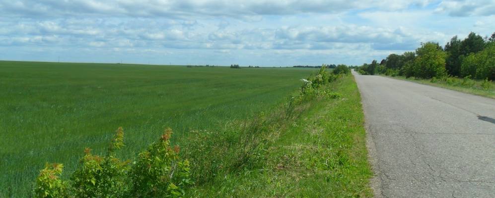 
            Фотография Рыковской Новосёлки