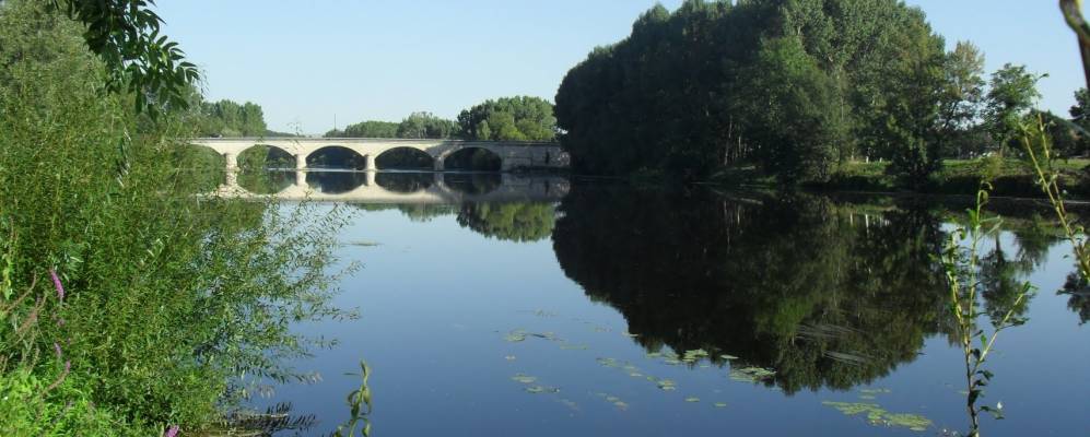 
            Фотография Бонна