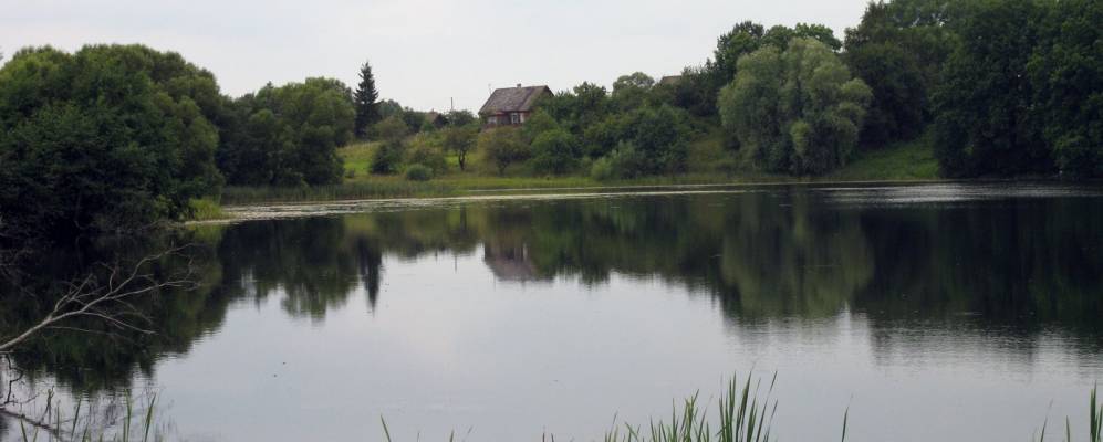 
            Фотография Чернево