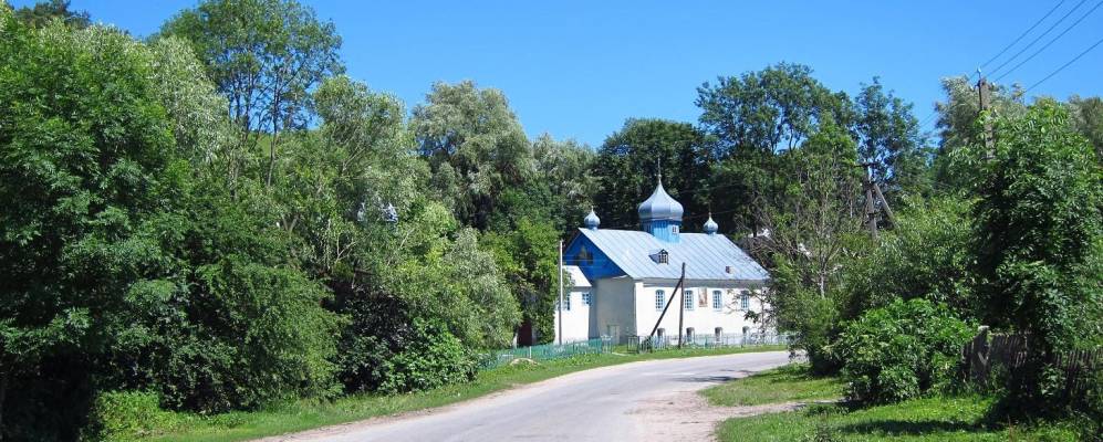 
            Фотография Лопушного