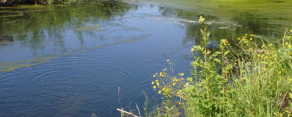 
            Фотография Отношки