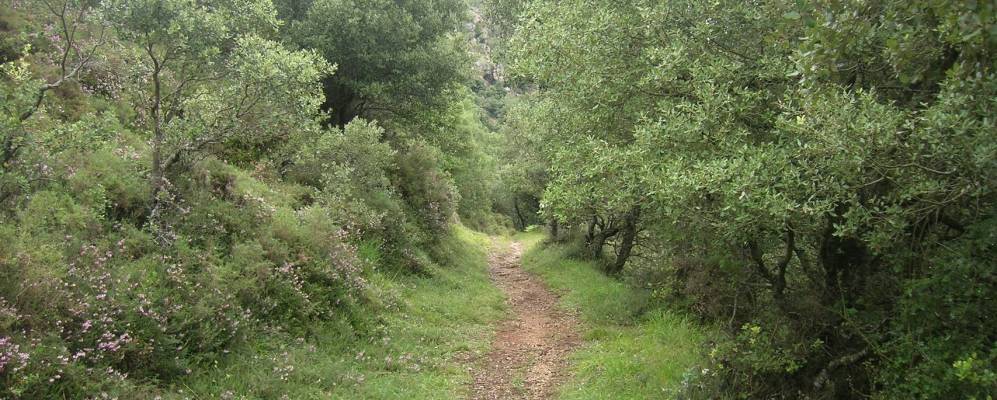 
            Фотография Пола де Сомьедо