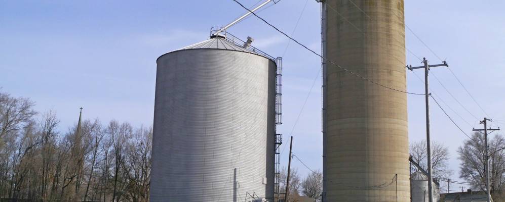 
            Фотография Ченоы